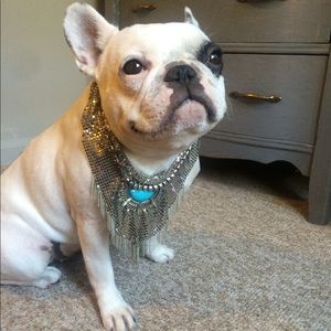 Meet your Posher, Shelby